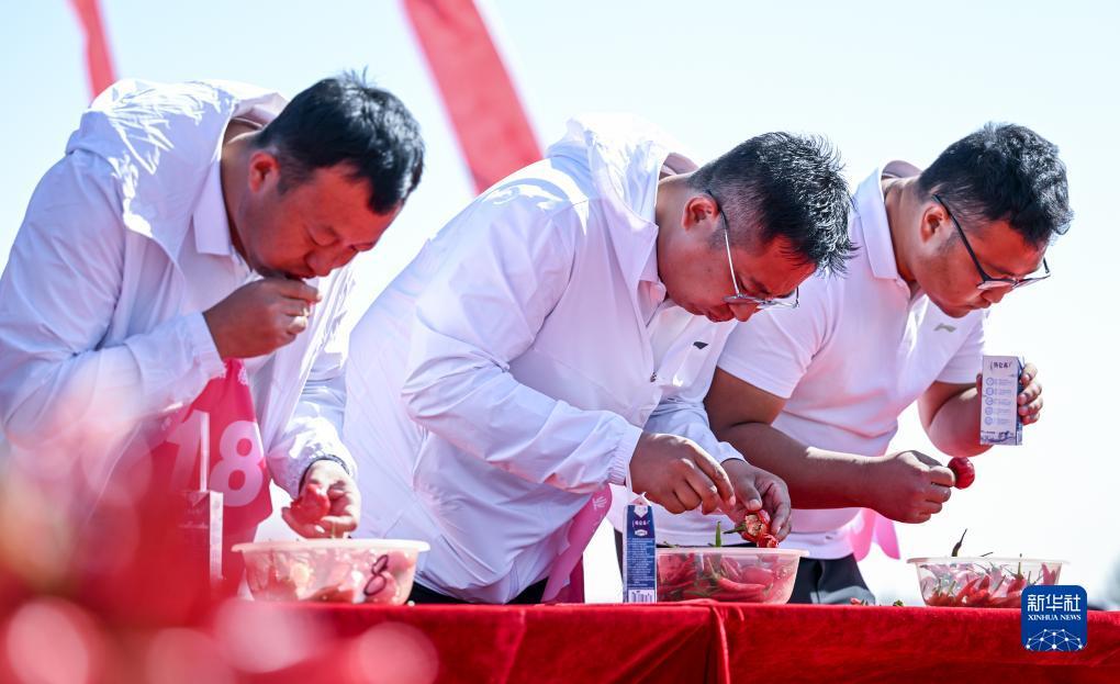 大奖网彩票网址入口